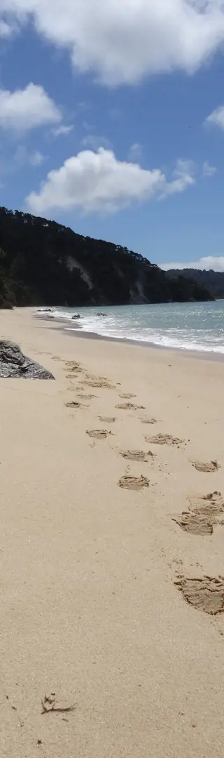 Abel Tasman Nationalpark